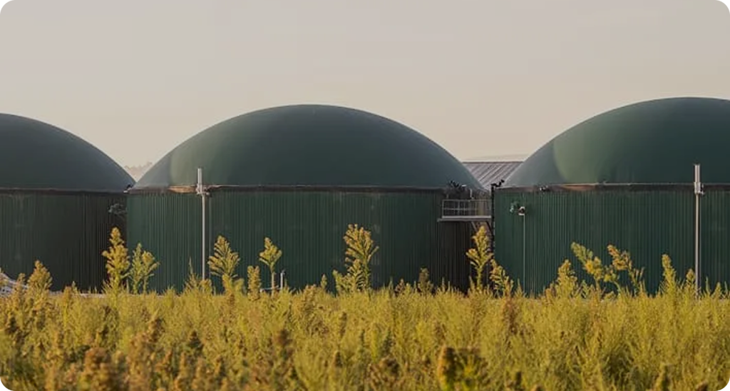 Alcarras Bioproductors